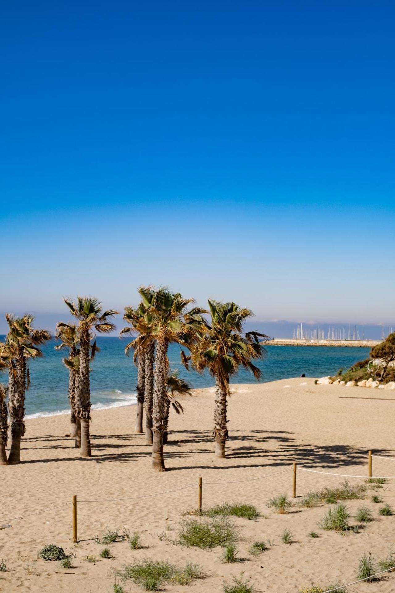 Paraiso Frente Al Mar Apto Duplex Coma-ruga Luaran gambar